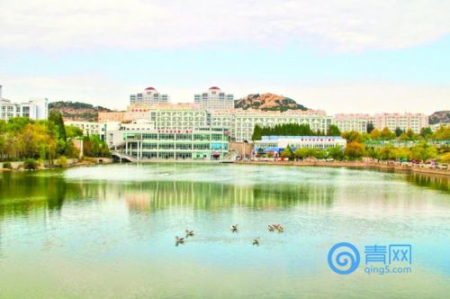 1516173653751010794.jpg 1516158788394.jpg